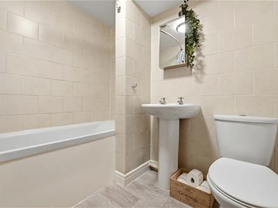 Picture 14